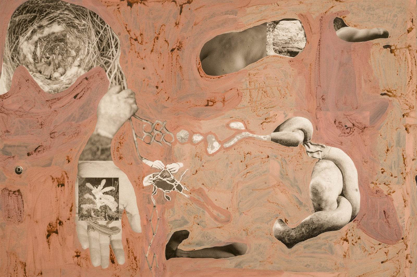 圖十二、《地勢(shì) (關(guān)于時(shí)間，關(guān)于身體)》 (細(xì)節(jié)圖)，O?zlem Alt?n，2019